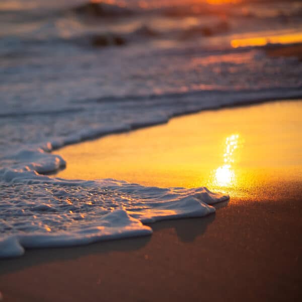 Golden sunrise light reflecting on the ocean waves gently lapping on a sandy beach